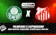 Palmeiras x Capivariano
