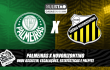 Palmeiras x Novorizontino